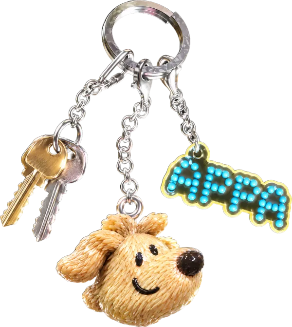 Llavero de Appa con unas llaves, la placa APPA y la cabeza de un perrito